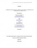 Componente práctico del curso Balance másico y energético en problemáticas ambientales