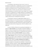 ¿Qué es un test? Reporte de lectura