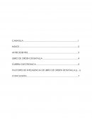 Libro de orden de batalla