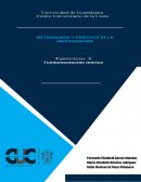 Ejercicio fundamentación teórica