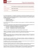 Auditorías de los sistemas de gestión de prevención de riesgos laborales