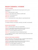 Músculos 2do parcial