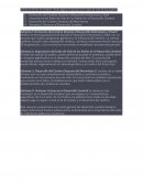 ¿Cómo se forma el cerebro? ¿Tiene alguna importancia el estilo de vida de los padres?