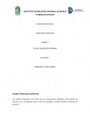 Estados financieros proforma