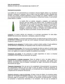 Aereo - transporte internacional