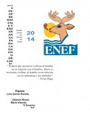 Fundamentación Curricular de la Asignatura