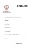 Teoria del acto jurìdico