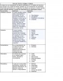 Tipo de texto, forma y fondo