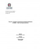 Análizar la Importancia del Emprendimiento