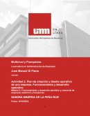 Plan de creación y diseño operativo de una empresa. Funcionamiento y desarrollo operativo