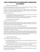 Introducción a la planificación y organización de la empresa