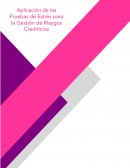 Aplicación de las Pruebas de Estrés para la Gestión de Riesgos Crediticios