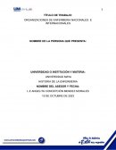 Organizaciones de enfermeria nacionales e internacionales