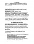 Administración de empresa Sanitas S.A