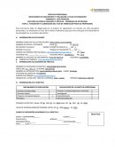 Planeación y elaboración del plan de formación práctica profesional