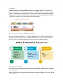 Incubación de Negocios