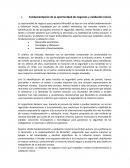 Fundamentación de la oportunidad de negocios y validación inicial