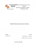 Modulo III - Plantas de procesamiento de minerales