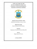 Identificacion de los problemas, causas y efectos