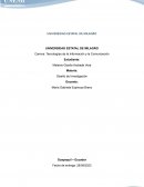 El impacto de la brecha digital en la privacidad de datos y la ciberseguridad Identificación de problemáticas