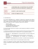 Caso práctico auditorias sistemas de gestión
