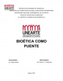 Bioética como puente