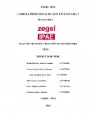 Plan de negocio creación de seguro Siba Pets