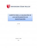 Validacion de expertos para un trabajo de investigacion