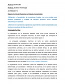 Espacios curriculares involucrados