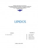 Lípidos