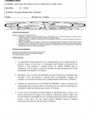 Final investigación de mercado