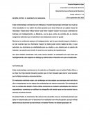 Reseña critica el sandwich de Mariana