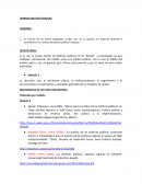 Trabajo politicas públicas