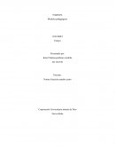 Modelos pedagógicos y currículo ¿Irán juntos de la mano para una buena educación?