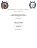 Principios de intervención psicoterapéutica