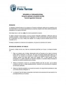 Proyecto aplicado (consultoría de DO)