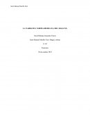 La narrativa norteamericana del siglo XX