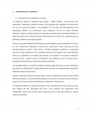 Informe planificación cooperativa de vinos