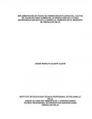 Implementación de podas de formación en plantas del cultivo de aguacate para aumentar la producción