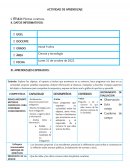 Bio huerto- Plantas curativas