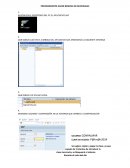 Procedimiento reserva SAP