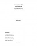 Derecho Civil II. Desarrollo de temas