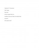 Laboratorio N°1, Neurociencia