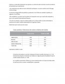 Caso mercado cambiario