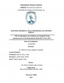 Agricultura y su incidencia en la medición de las plantaciones de la Sociedad Agrícola Rapel SAC