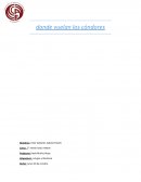 Donde vuelan los condores