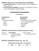 Preparacion prueba lenguaje