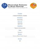 Caso práctico Negocios Internacionales