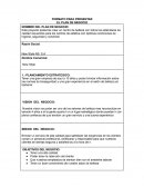 El plan de negocio New Style-NS. S.A