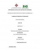 Investigación sobre los fosfolípidos